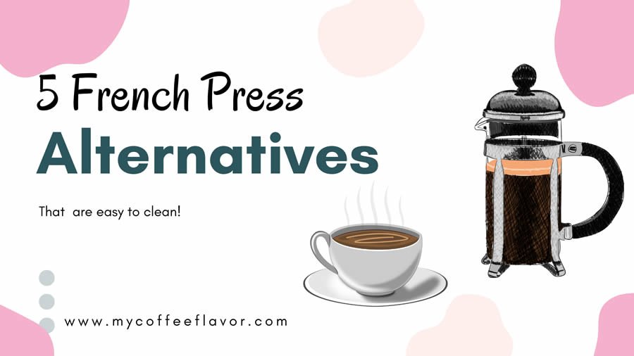5 French Press Alternatives With Easier Clean-up