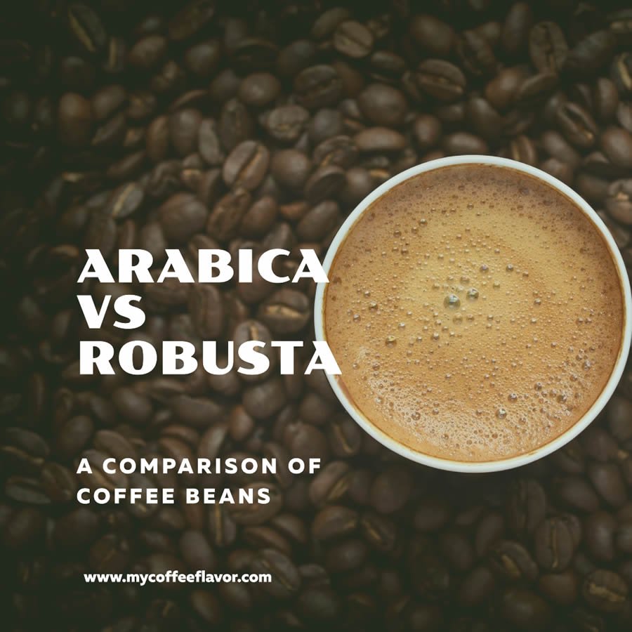 Arabica Vs Robusta Coffee Beans