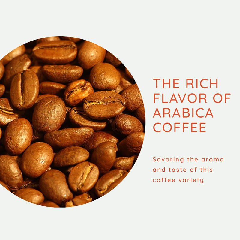 What is Arabica Coffee?