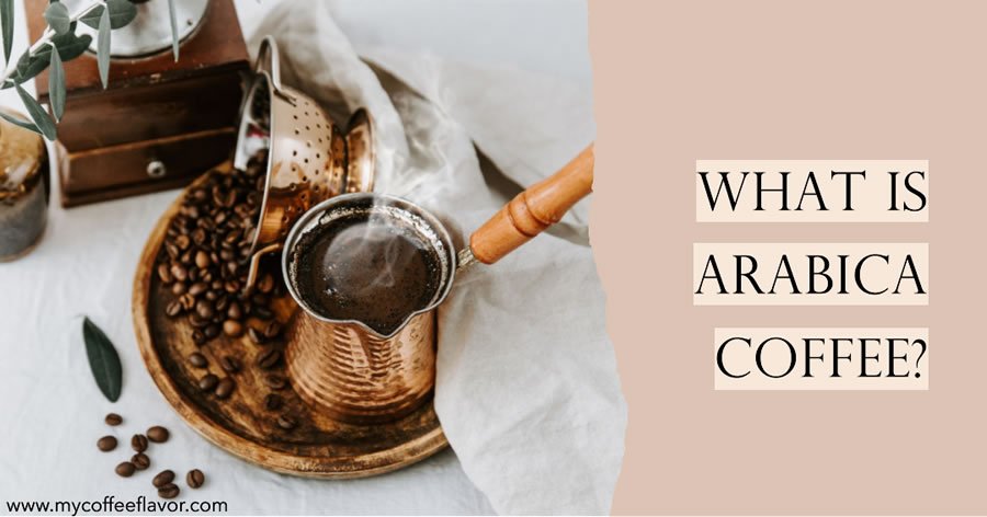 What is Arabica Coffee