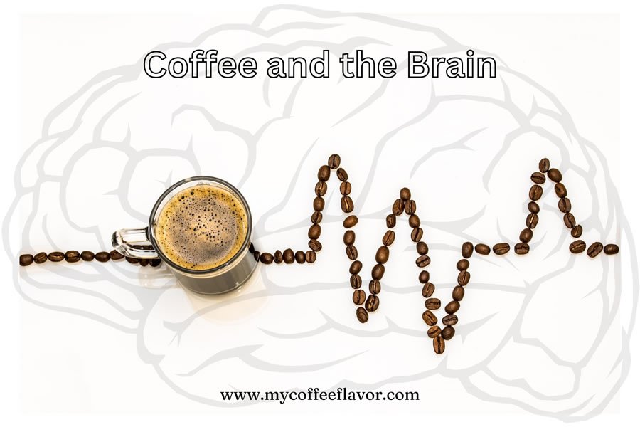 Coffee and the Brain: Fuel for Productivity and Creativity